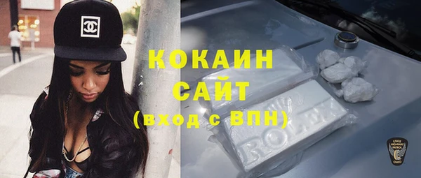 шишки Аркадак