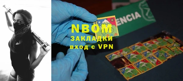 шишки Аркадак