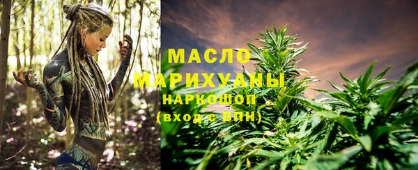 шишки Аркадак