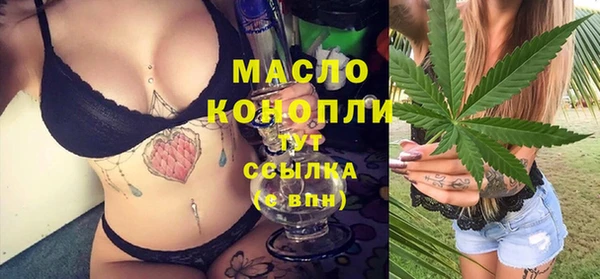 шишки Аркадак