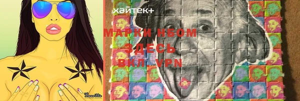 шишки Аркадак