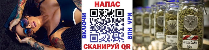MEGA ТОР  Мураши  Конопля SATIVA & INDICA 